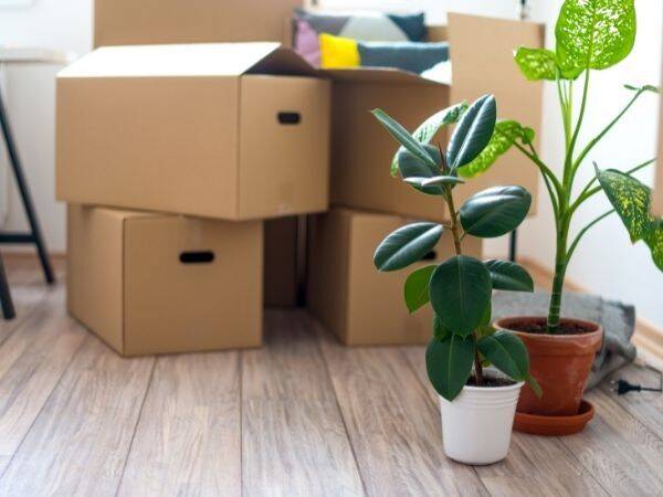 The advantages of hiring professional house clearance services for spring cleaning