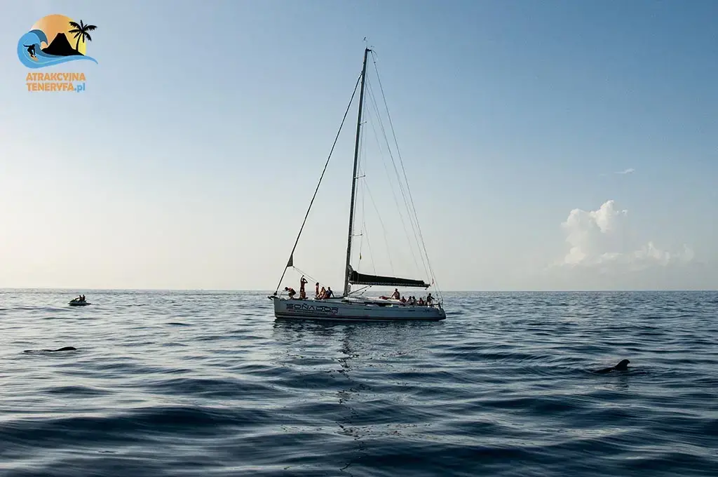 Teneryfa z morza: Wycieczki fakultatywne dla miłośników żeglarstwa